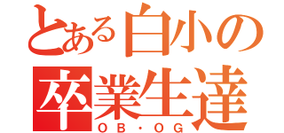 とある白小の卒業生達（ＯＢ・ＯＧ）