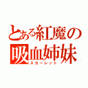 とある紅魔の吸血姉妹（スカーレット）