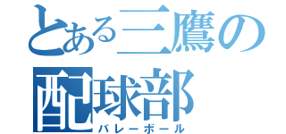 とある三鷹の配球部（バレーボール）