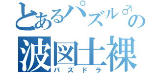 とあるパズル♂の波図土裸（パズドラ）