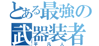 とある最強の武器装者（平凡人）