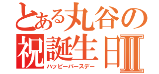 とある丸谷の祝誕生日Ⅱ（ハッピーバースデー）