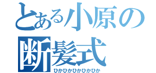 とある小原の断髪式（ひかひかひかひかひか）