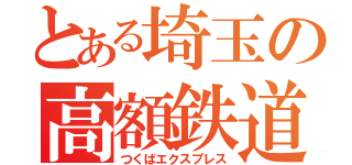 とある埼玉の高額鉄道（つくばエクスプレス）