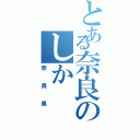 とある奈良のしか（奈良県）