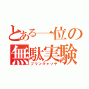 とある一位の無駄実験（プリンキャッチ）