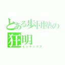 とある歩団塾の狂明（インデックス）