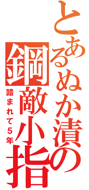 とあるぬか漬けの鋼敵小指（踏まれて５年）