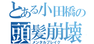 とある小田橋の頭髪崩壊（メンタルブレイク）