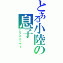 とある小陸の息子（エクスカリバー）