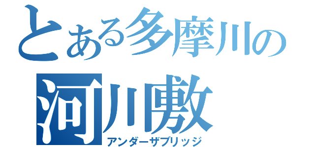 とある多摩川の河川敷（アンダーザブリッジ）