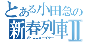 とある小田急の新春列車Ⅱ（メトロニューイヤー）