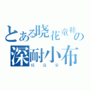 とある晓花童鞋の深耐小布（极品受）