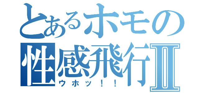 とあるホモの性感飛行Ⅱ（ウホッ！！）