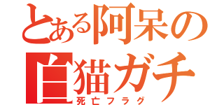 とある阿呆の白猫ガチャ（死亡フラグ）