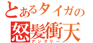 とあるタイガの怒髪衝天（アングリー）