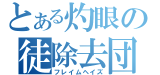 とある灼眼の徒除去団（フレイムヘイズ）