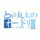 とある丸太のオードリーヘップバーンⅡ（ローマの休日）