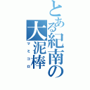 とある紀南の大泥棒（マミコロ）