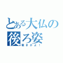 とある大仏の後ろ姿（覗きかよ！）