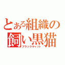 とある組織の飼い黒猫（ブラックキャット）