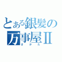 とある銀髪の万事屋Ⅱ（さかた）