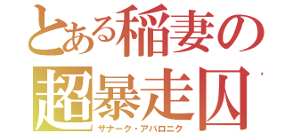 とある稲妻の超暴走囚（ザナーク・アバロニク）