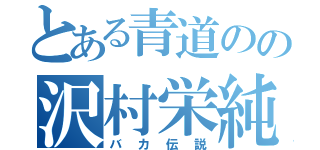 とある青道のの沢村栄純（バカ伝説）