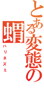 とある変態の蝟（ハリネズミ）