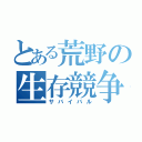 とある荒野の生存競争（サバイバル）