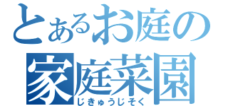 とあるお庭の家庭菜園（じきゅうじそく）