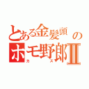 とある金髪頭      のホモ野郎Ⅱ（カズ）