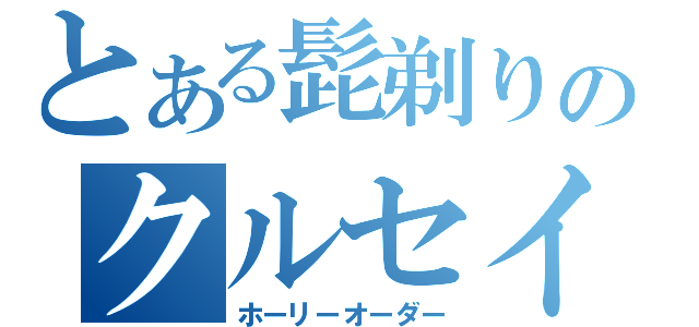 とある髭剃りのクルセイダー（ホーリーオーダー）