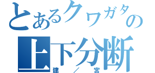 とあるクワガタの上下分断（建／宮）