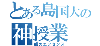 とある島国大の神授業（躾のエッセンス）