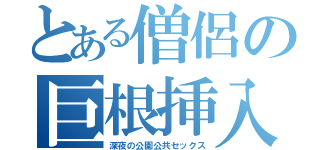 とある僧侶の巨根挿入（深夜の公園公共セックス）