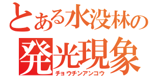 とある水没林の発光現象（チョウチンアンコウ）