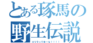 とある琢馬の野生伝説（ゴリラってゆーな！！！！）