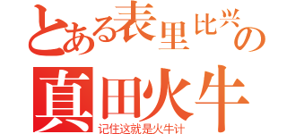 とある表里比兴の真田火牛（记住这就是火牛计）