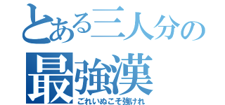 とある三人分の最強漢（ごれいぬこそ強けれ）