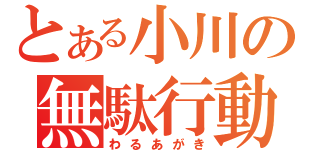 とある小川の無駄行動（わるあがき）