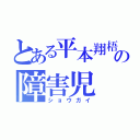 とある平本翔梧の障害児（ショウガイ）