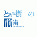 とある樹の前歯（リーサルウェポン）