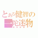 とある健智の一陀迷物（根本超像）