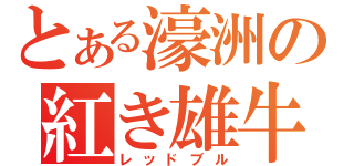 とある濠洲の紅き雄牛（レッドブル）