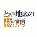 とある地底の核弾頭（霊烏路 空）