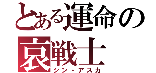 とある運命の哀戦士（シン・アスカ）