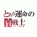 とある運命の哀戦士（シン・アスカ）