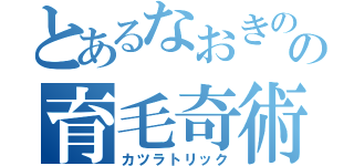 とあるなおきのの育毛奇術（カツラトリック）