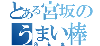 とある宮坂のうまい棒（落花生）